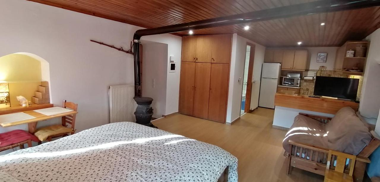 Adonis Guest House 蒂米萨那 外观 照片
