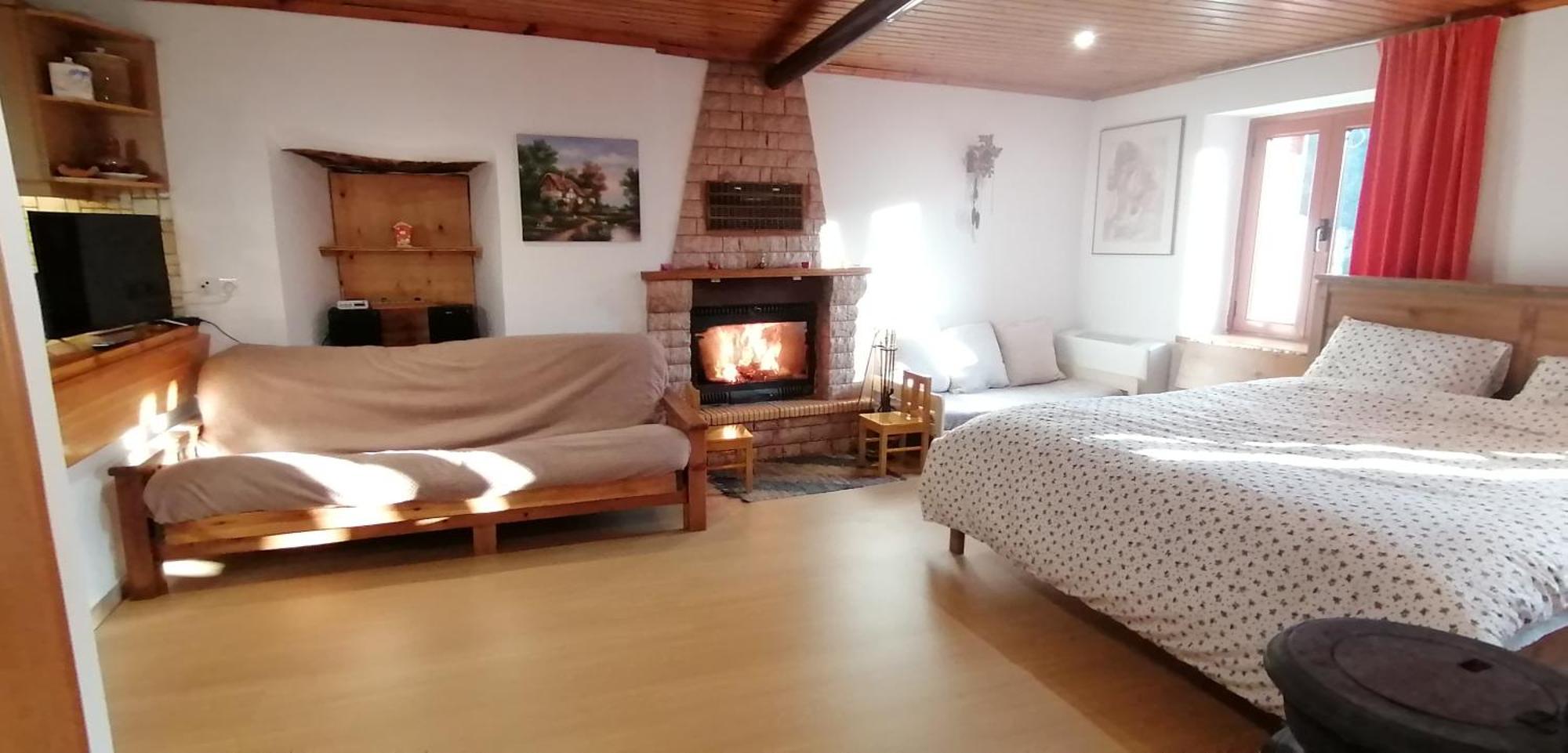 Adonis Guest House 蒂米萨那 外观 照片
