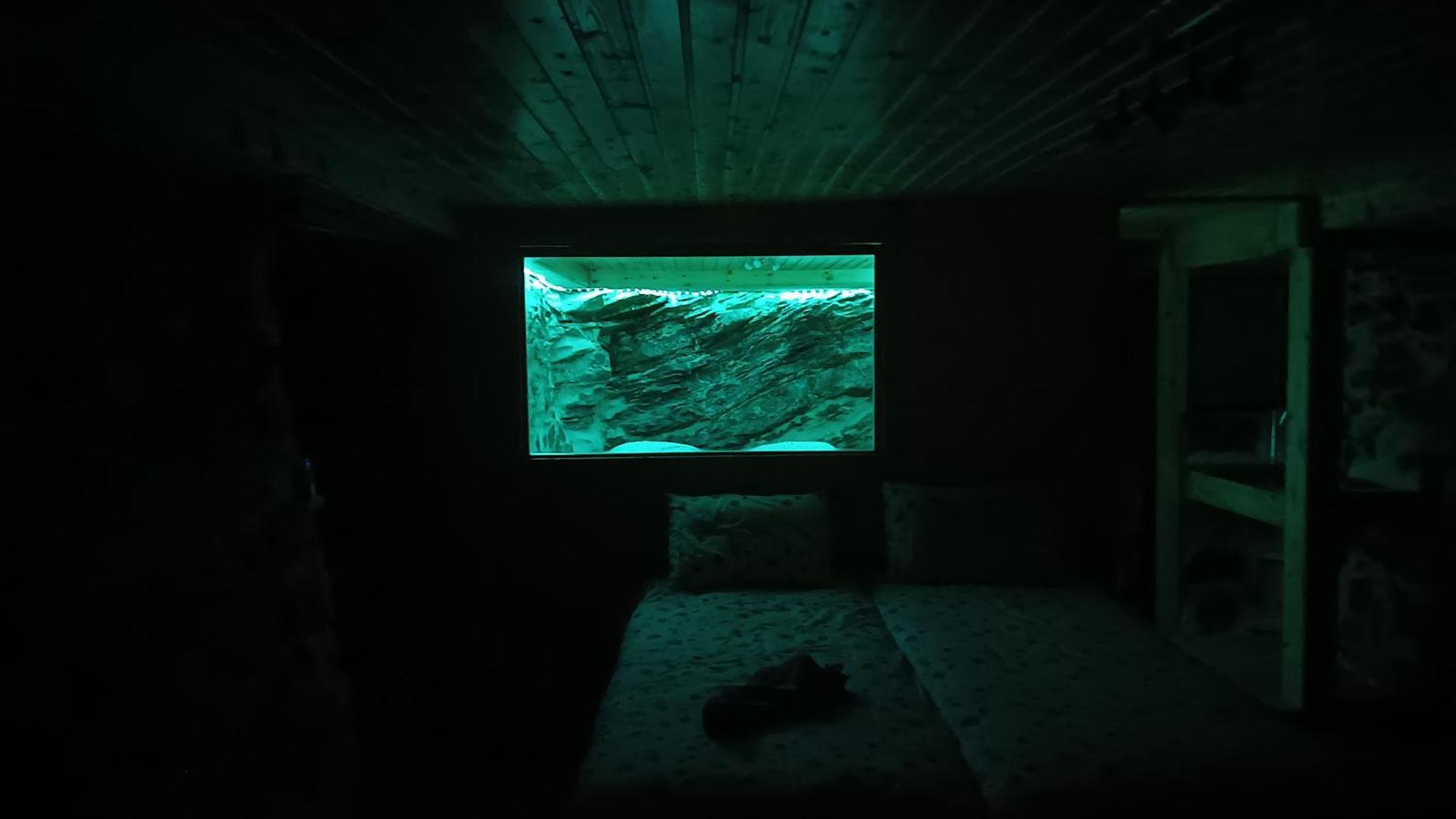 Adonis Guest House 蒂米萨那 外观 照片