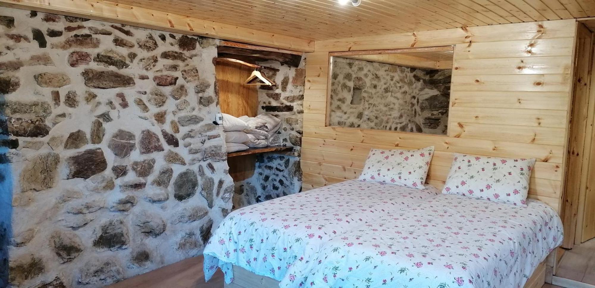 Adonis Guest House 蒂米萨那 外观 照片