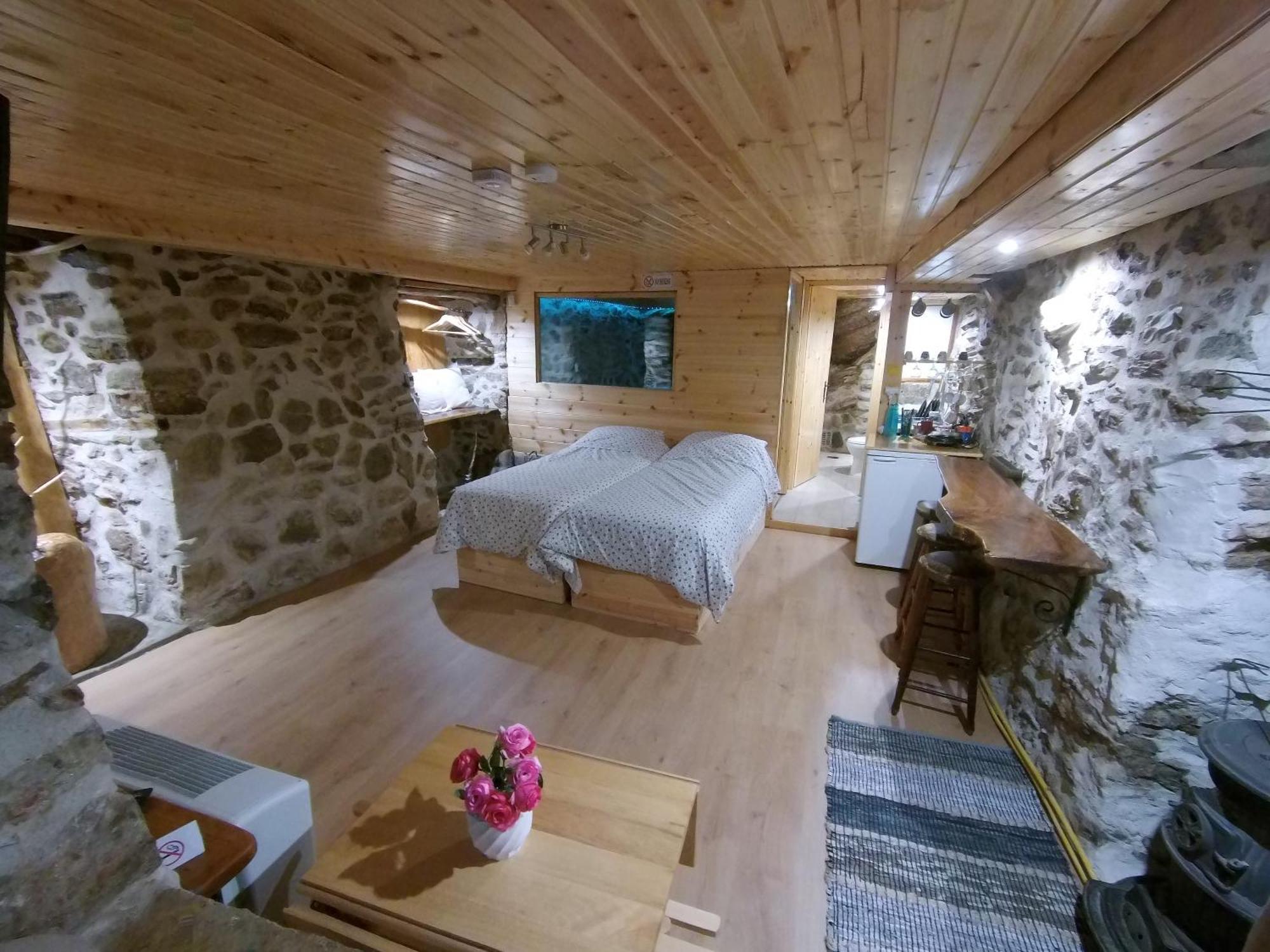 Adonis Guest House 蒂米萨那 外观 照片